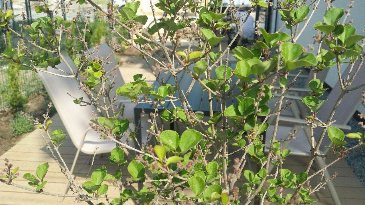 Łukęcin Sea Suite Garden & Pines מראה חיצוני תמונה